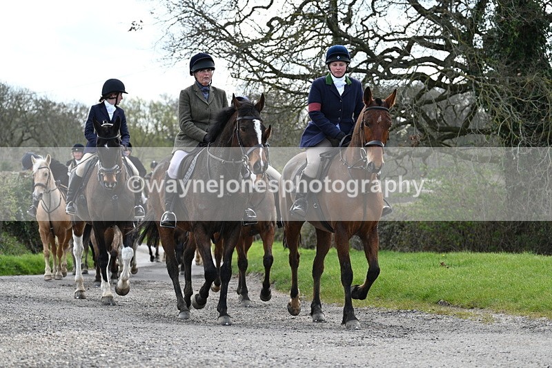 WJ7_9827 - Walk Home