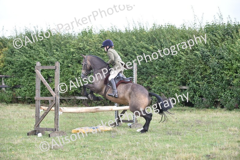 20250831-3964 - Class 12 - Working Hunter Pony 14.2hh and Under