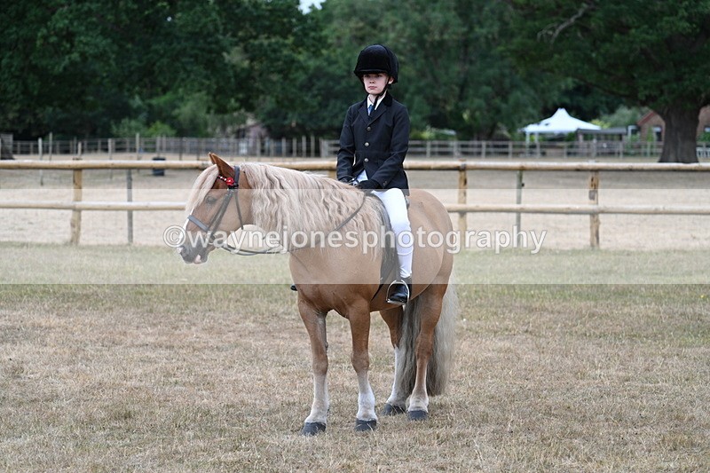 WJ7_7204 - Class 2 Best Rider