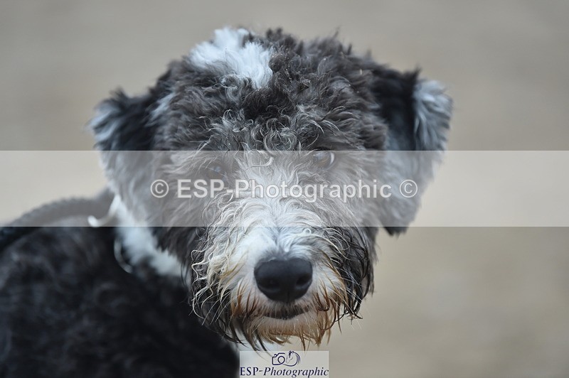 230902A-101302-00378 - Cls 2A Pony Small 70cm