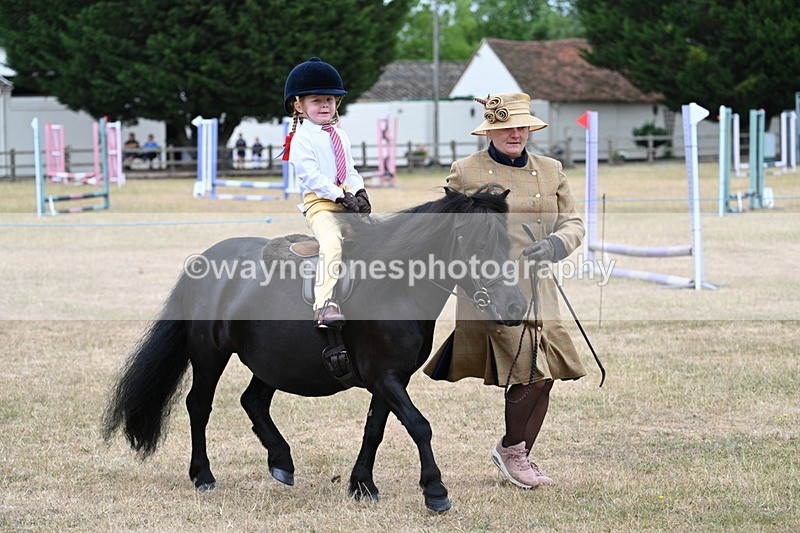 WJ7_8519 - Class 4 Prettiest Mare up to 14.2hh