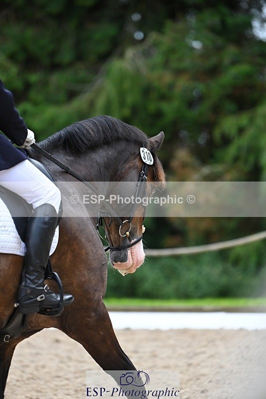 230813-140557-07678 - Cls 13 Medium Bronze 13.15 to End