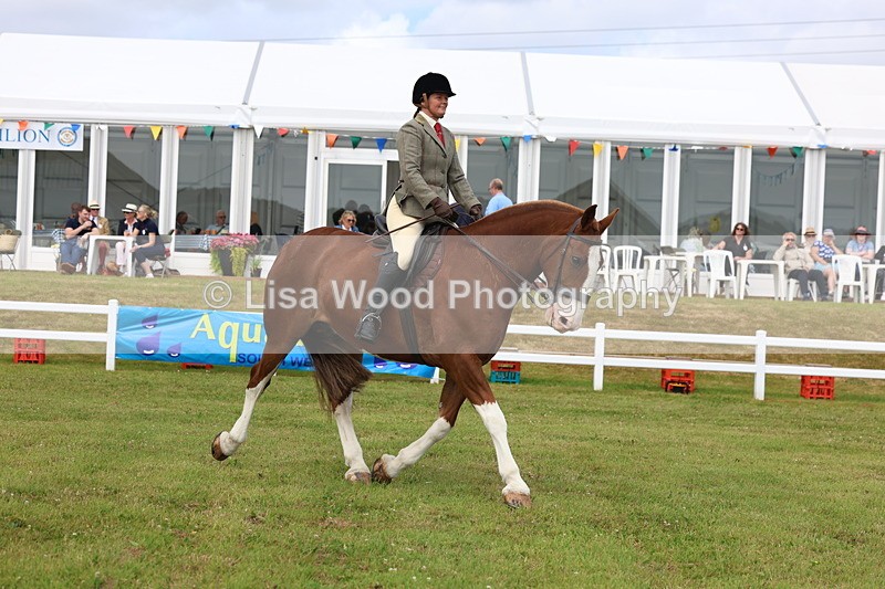 3E7A0284 - Class 6: Rising Star Maxi Cobs