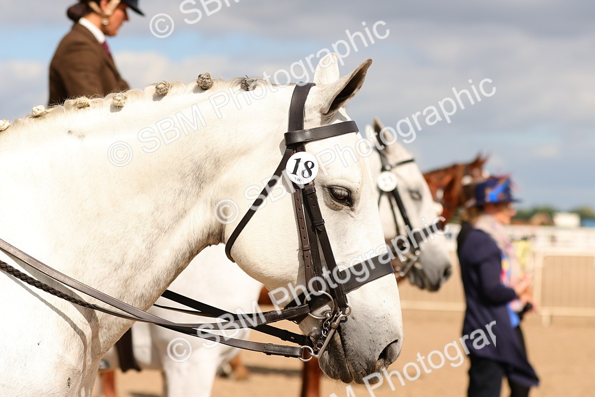 SBM_13214 - Class 211 - Ridden Hunter - Small