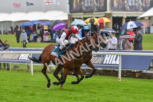 140723-Race 6-Copper Knight-8359 - Race 6 4.55pm Irish Thoroughbred Marketing Handicap