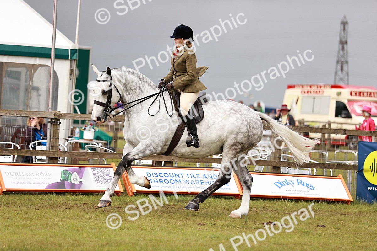 SBM_13021 - Class 85-87 - RIHS Cobs