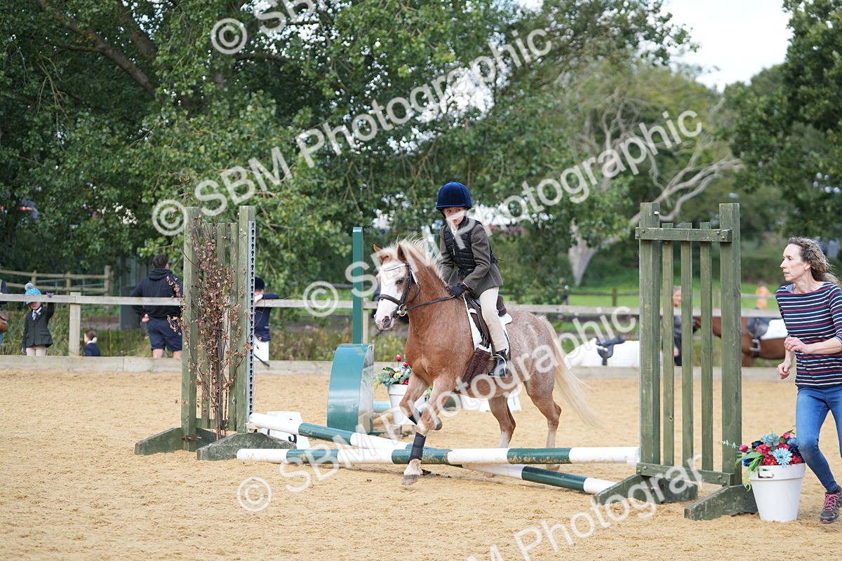 SBM_64313 - J2 - Mini Tour Junior Pony 30cm Championship