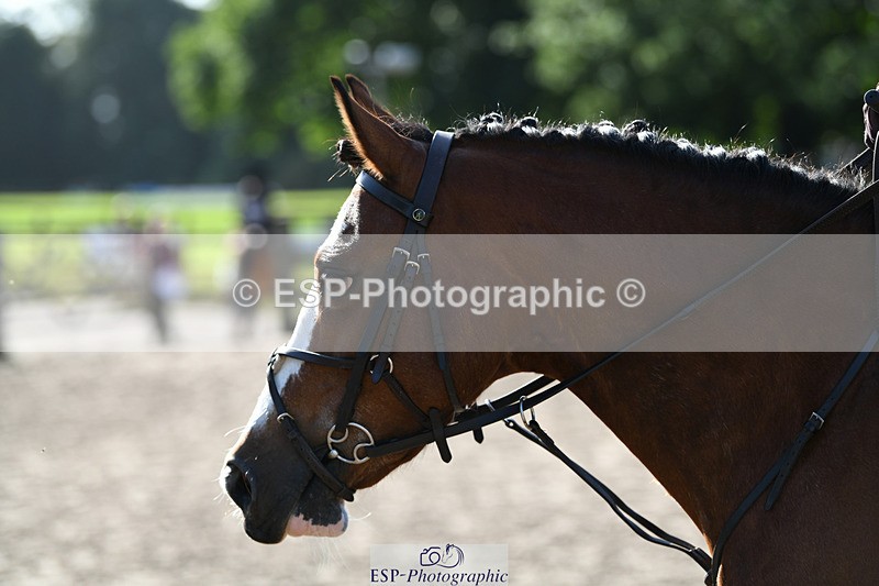 240825X-092306-30759_70cm SJ 915 to 1021 - 078-340-7385