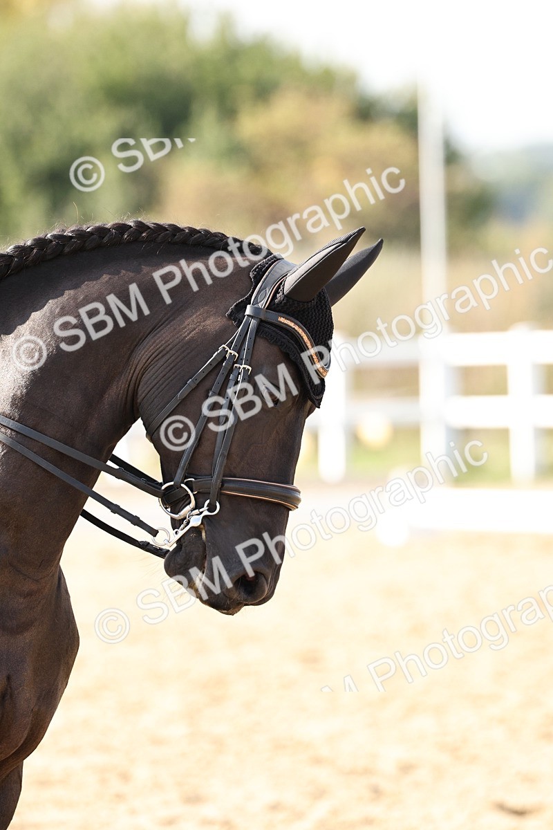 SBM_015401 - Class 9 - Advanced medium 3