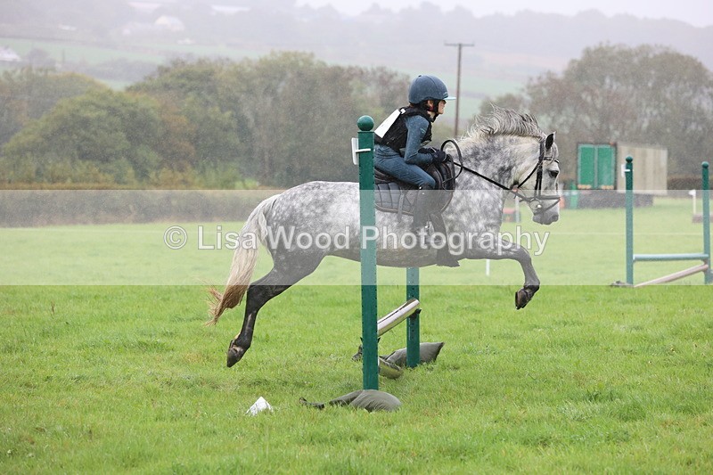 JPP_5146 - Class 1: 65cm : Showjumping