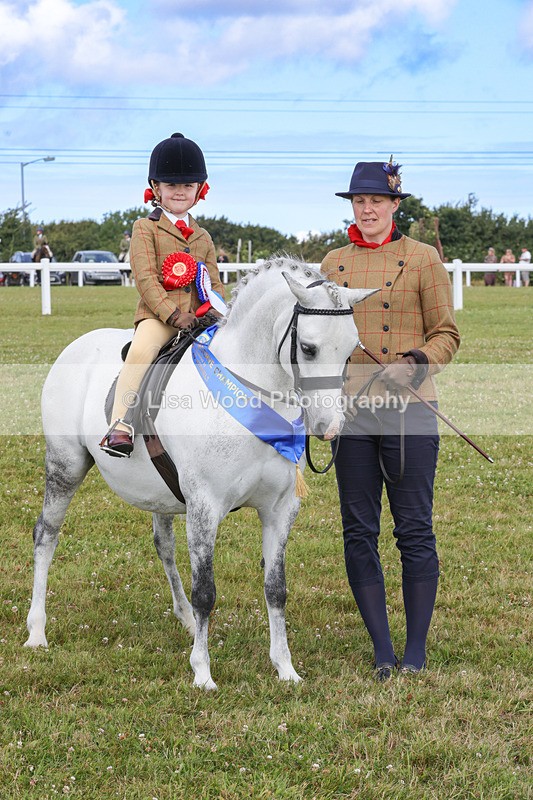 1X9A3849 - Plaited Mini Ridden Championship