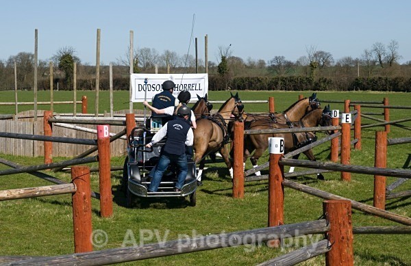 _DSC8887 - Ashfields Carriage & Polo Club