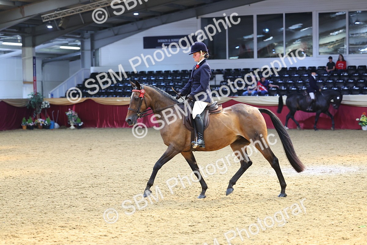 SBM_24081 - Class 905 - Supreme Final - Ridden Veteran