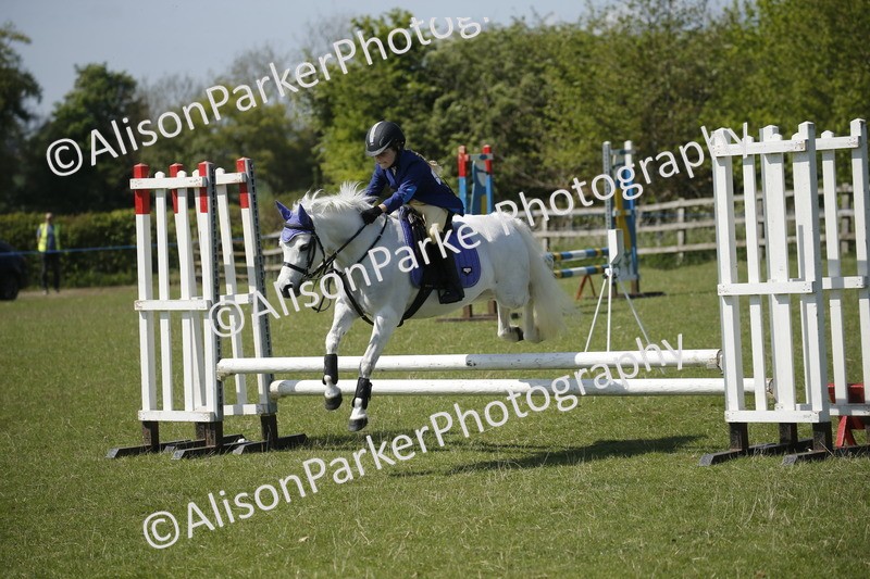 20250427-2323 - Class 13 - Novice Jumping 60cm