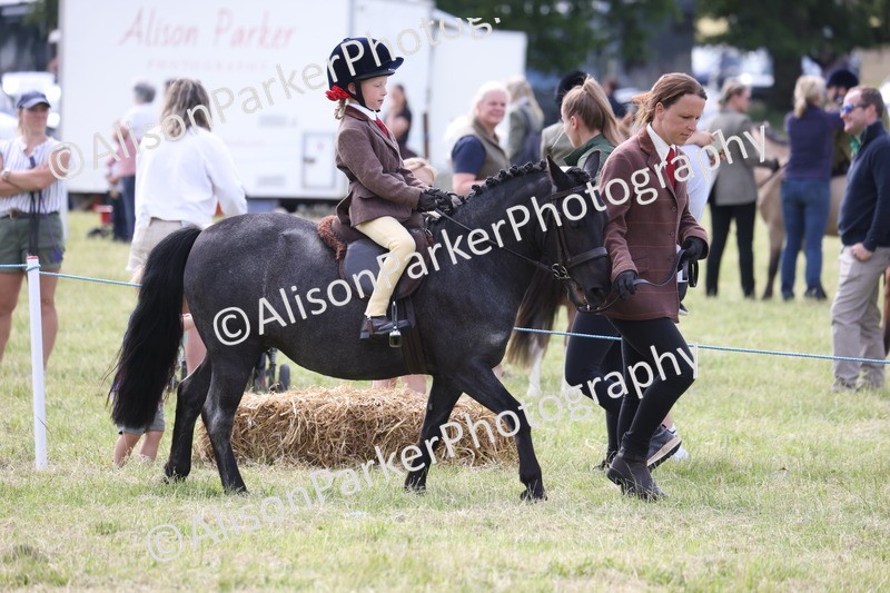 20260614-0797 - Class 20 - Beginners Working Hunter Pony