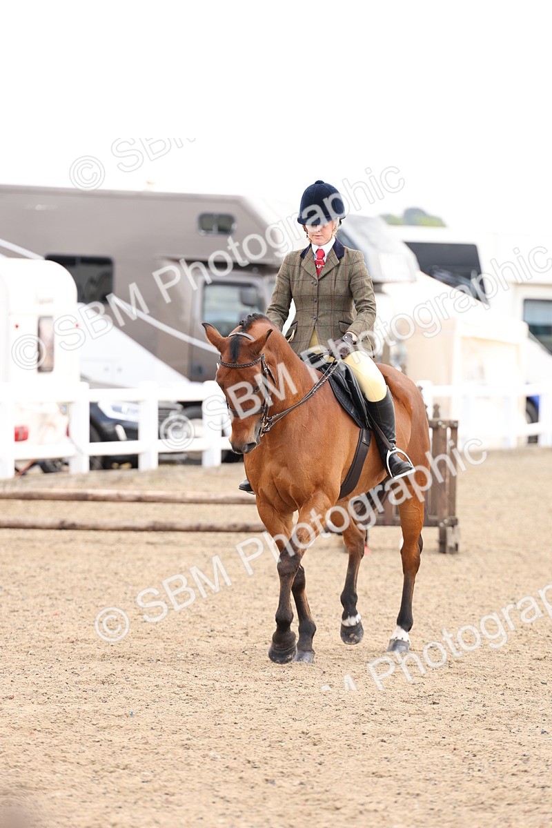 SBM_04216 - Class 54 - Riding Club Horse/Pony