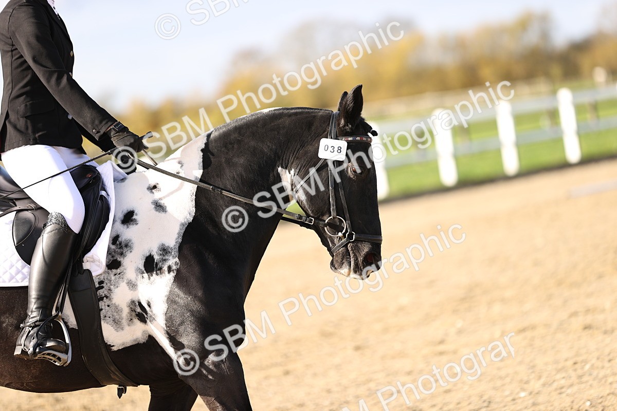 SBM_000865 - Class 2-4 - Intro 1 Intro 3