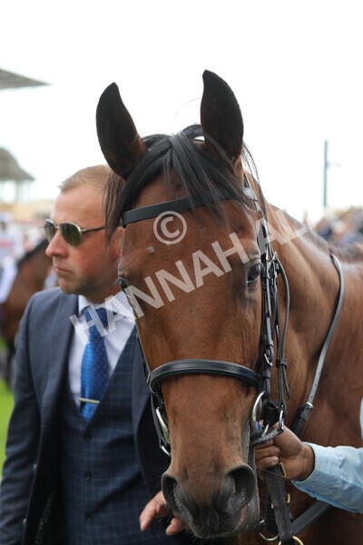 yr19082022r3-3 - Race 3 3.00pm Al Basti Equiworld Dubai Gimcrack Stakes