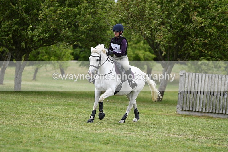 WJ5_3575 - Class 6 80cm