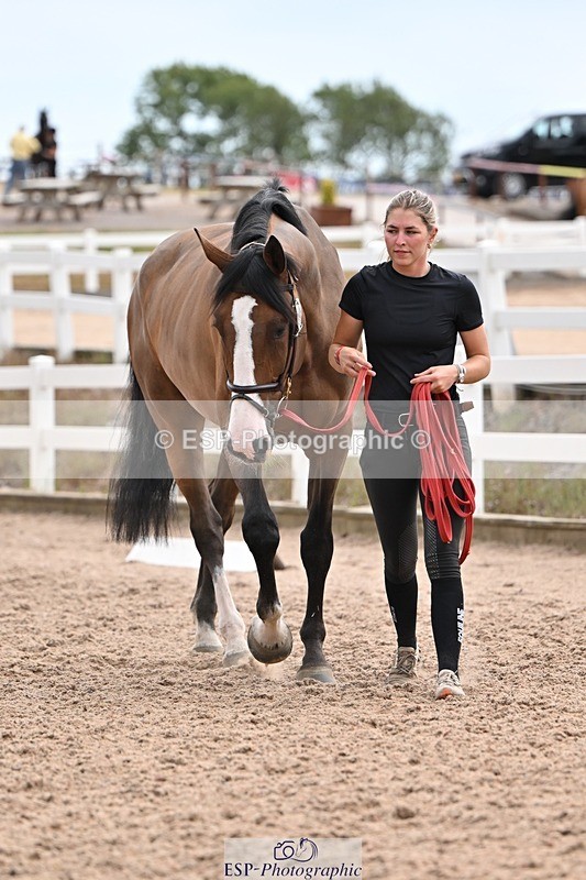 250716-145333-01484 - Trot Up 2.30 to 3.30