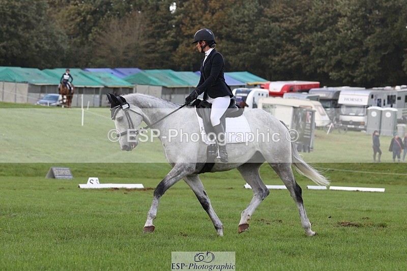 231019-154204-04996 - 557-KILBALLYBOY.SURPRISE-Courtney.Romcke-DR