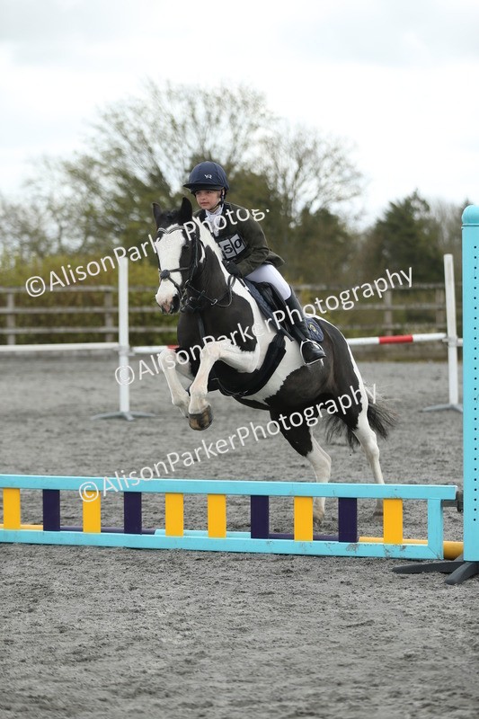 20260412-0630 - Show Jumping