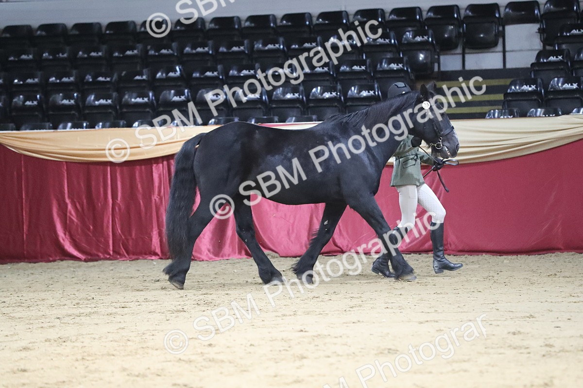 SBM_04971 - Class 8R- Regional -IH Veteran