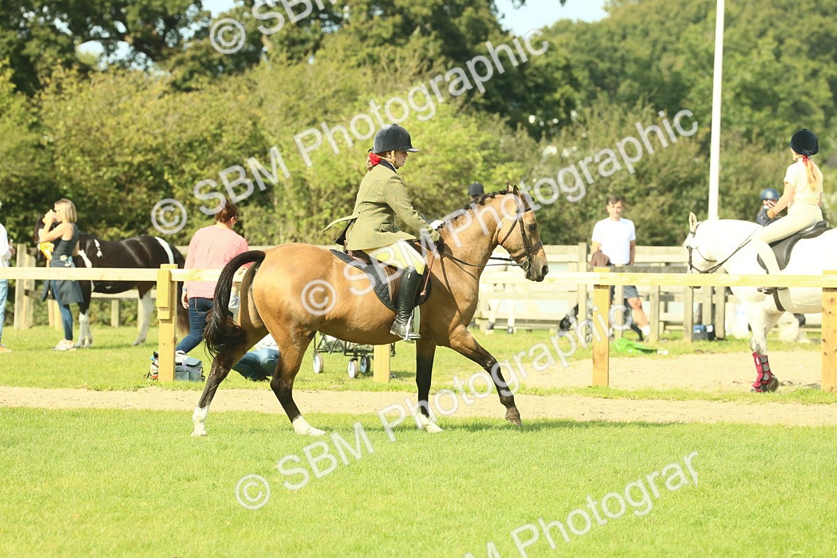 SBM_68863 - S58 - Mini Show Cob Ridden