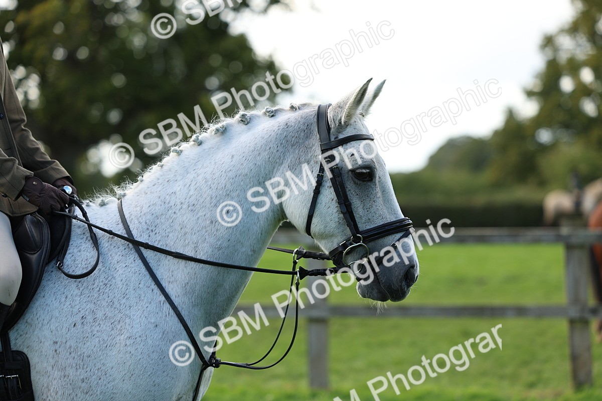 SBM_45515 - S33 - Working Hunter Pony