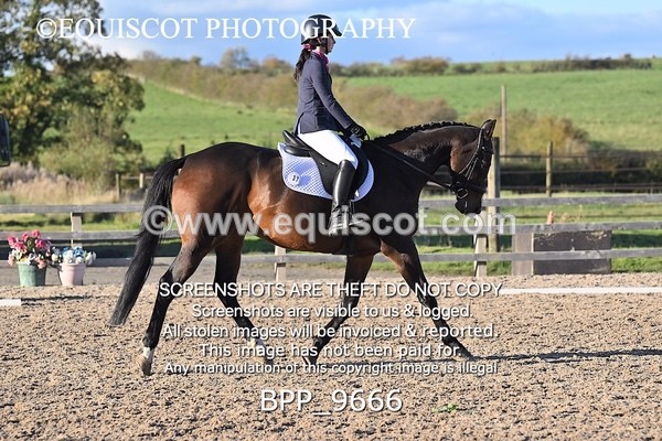 BPP_9666 - SHORT ARENA