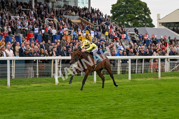 120724-Race 5-Sisyphean-6265 - Race 5 4.20pm George Blades Memorial Handicap