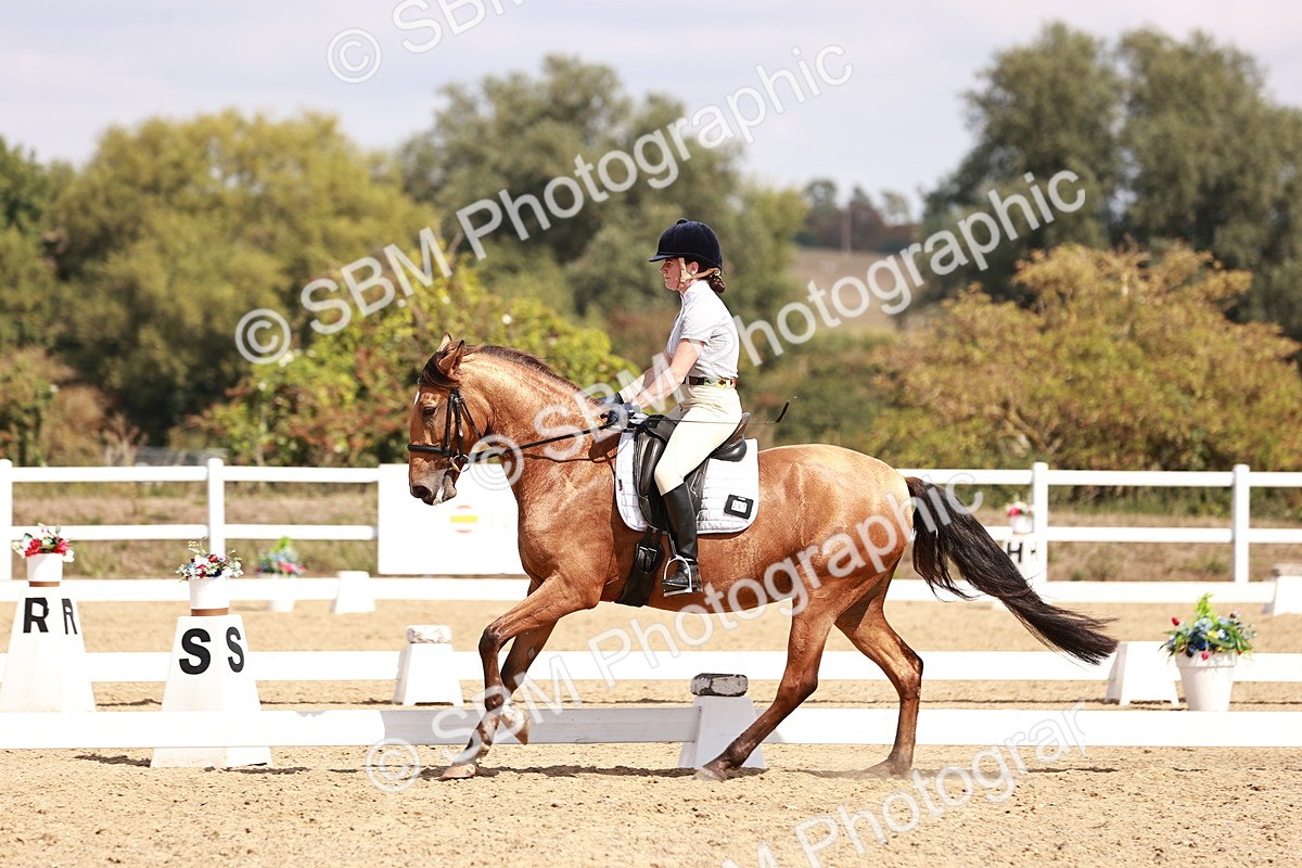 SBM_018566 - Class 17 - Novice 6