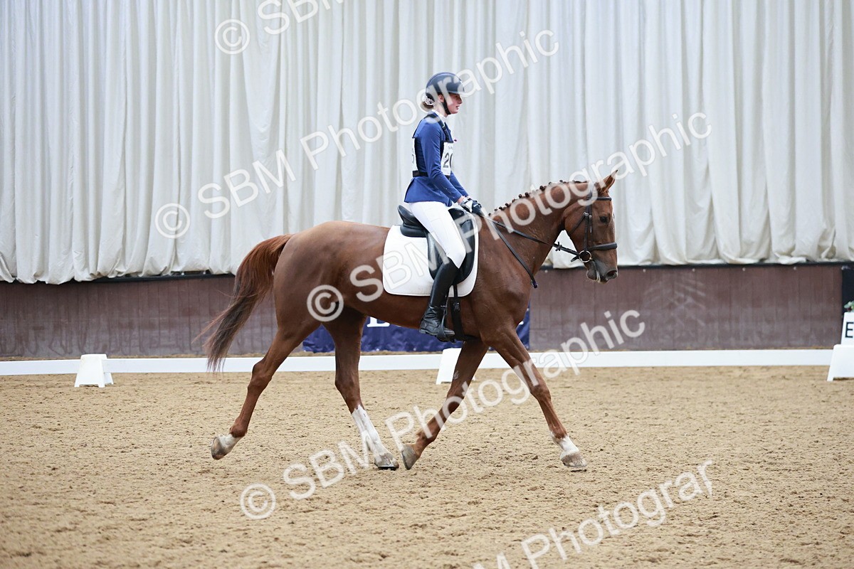 SBM_003795 - Class 2 - Novice 2020