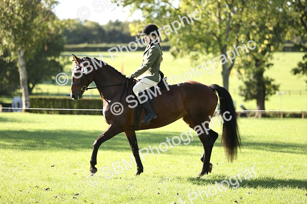 SBM_16886 - S2 - TSR Ridden Pony Showing