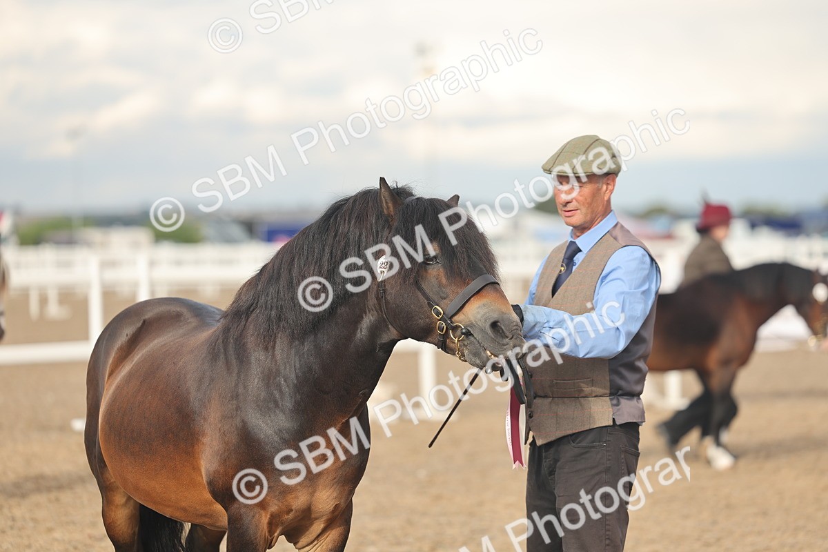 SBM_08598 - Class 29 - IH Veteran Pony
