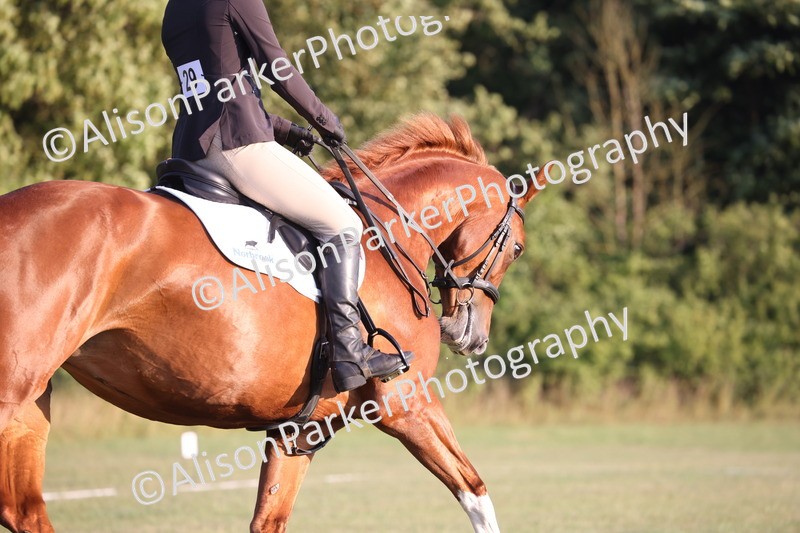 20250731-0337 - Class 3 - Novice 3