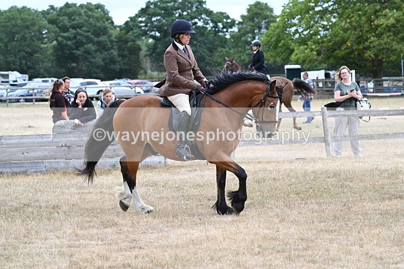 WJ7_0562 - Class 6 Ridden Mountain and Moorland