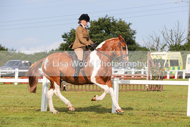 1X9A3135 - Class 27:  Ridden Native/Trad Coloured Horse