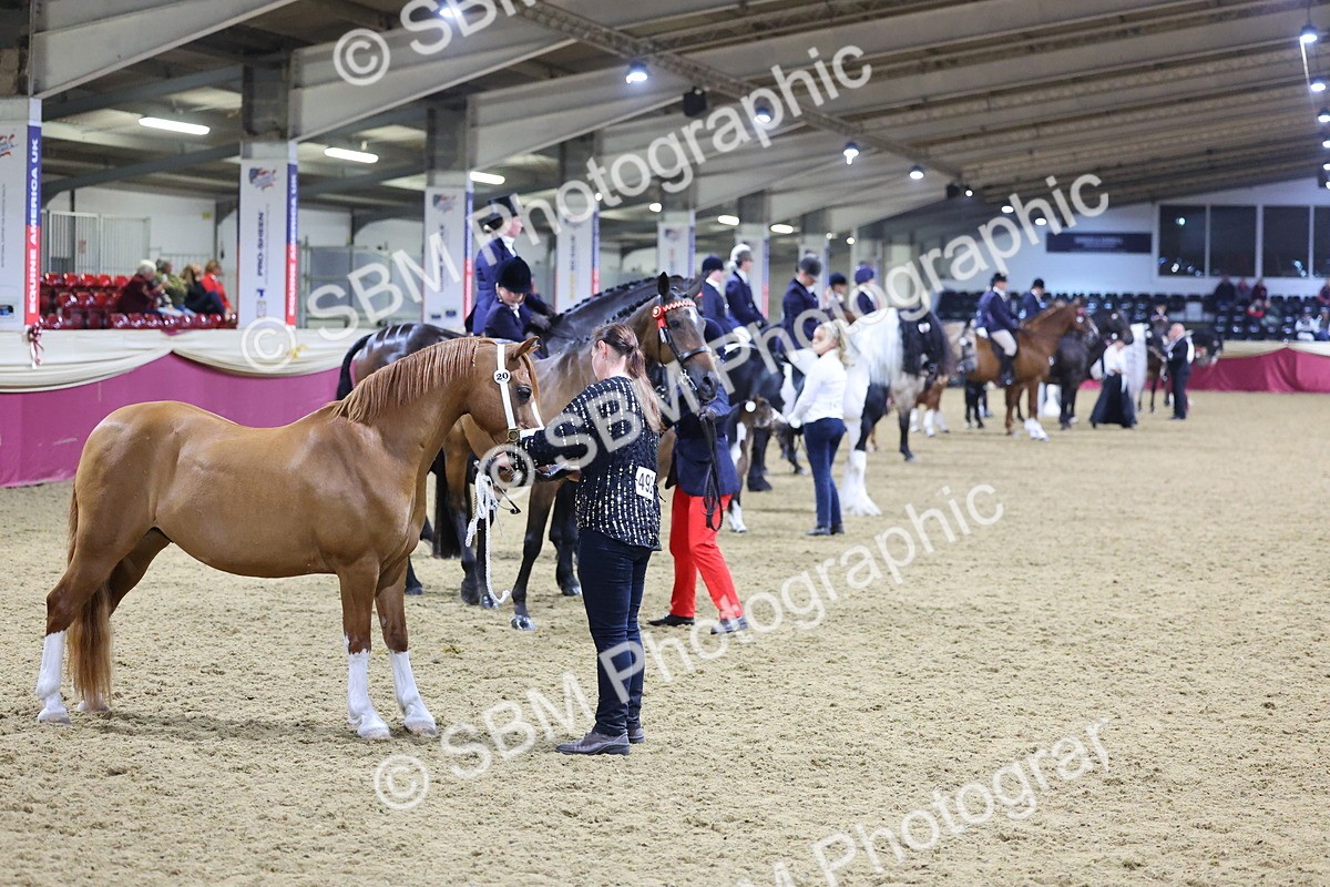 0B8A4822 - Class T Champion of Champions