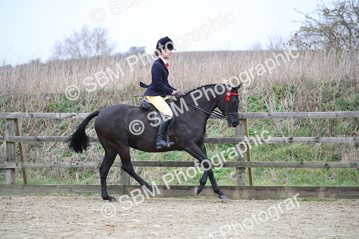SBM_004706 - Class 5-9 - NPS In Hand-Show Hunter-Intermediate Ridden Inc Ridden Championship