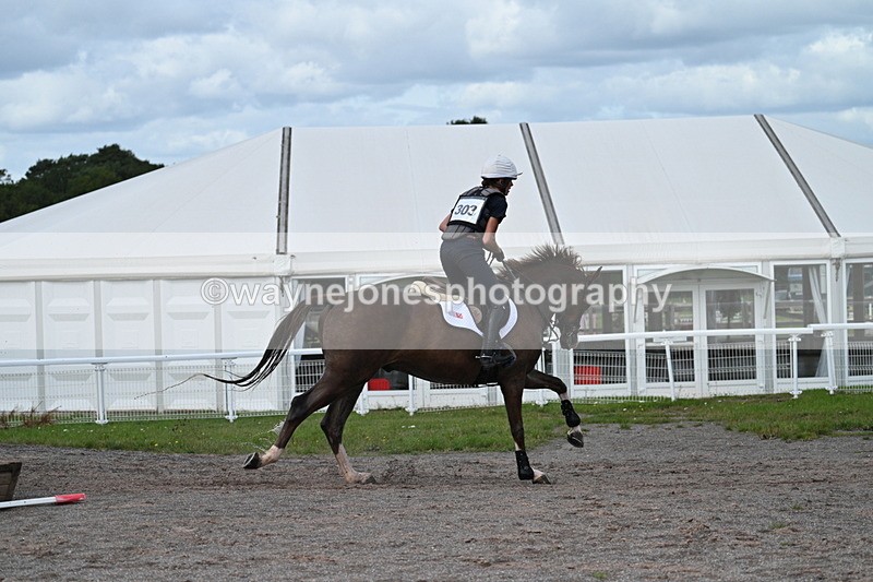 WJ7_1635 - Time 12:34 to 13:16