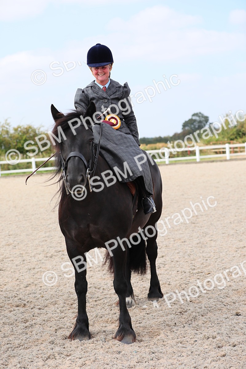 SBM_14608 - Class 211 Best Side Saddle Horse/Pony