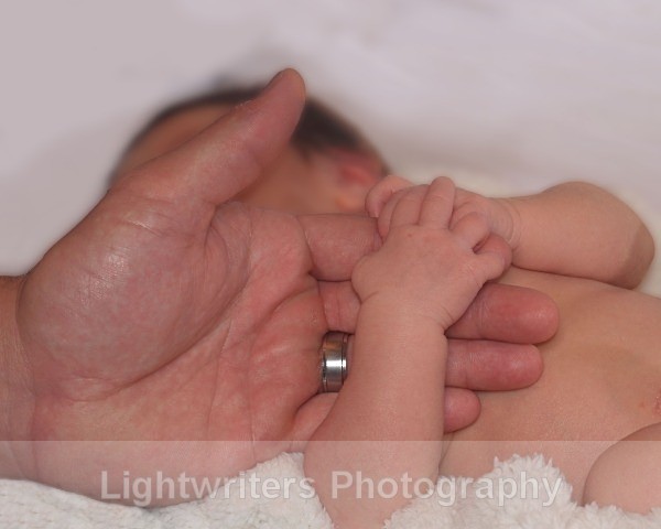 Buckle 56 - Baby Harper