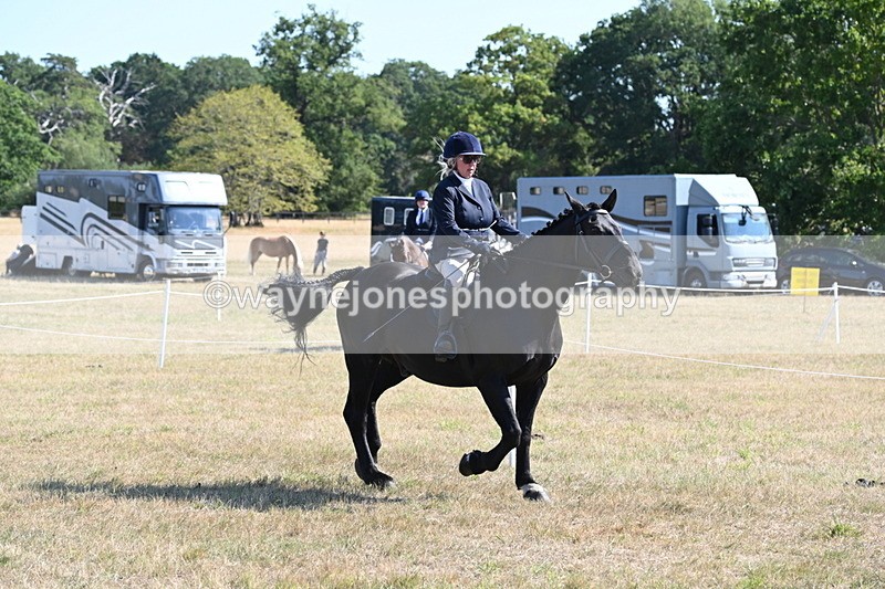 WJ6_7457 - Class 34 Judges Choice