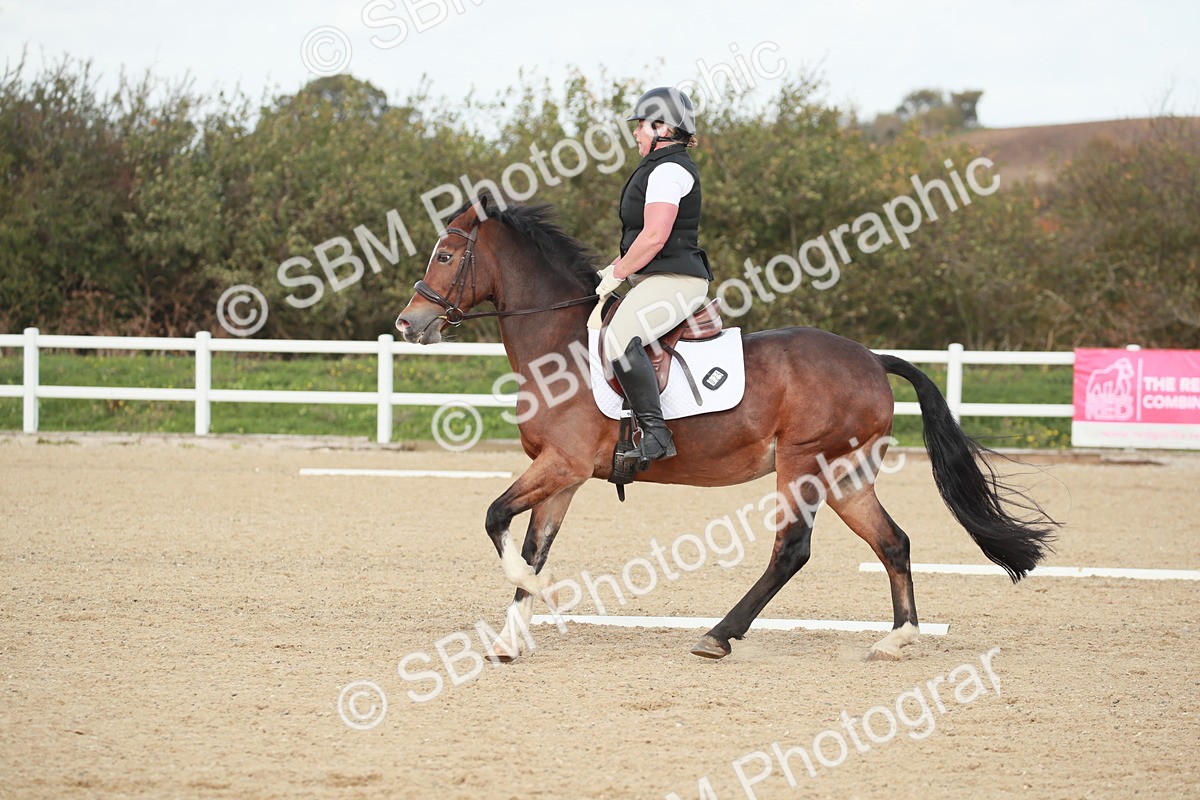 SBM_002204 - Class 6 - Elementary 5