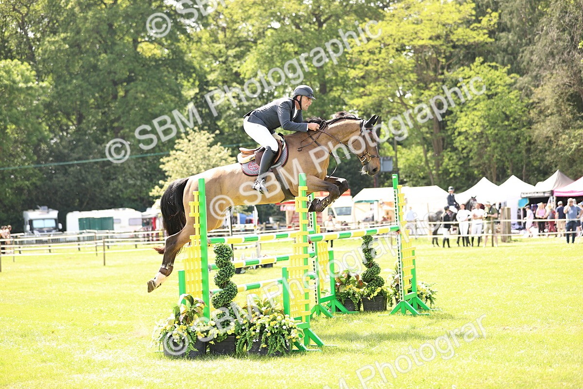 SBM_03246 - Class 201 - British Horse Feedds Speedi Beet HOYS Grade C