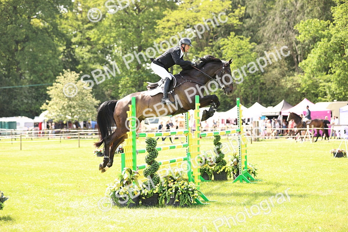 SBM_02995 - Class 201 - British Horse Feedds Speedi Beet HOYS Grade C