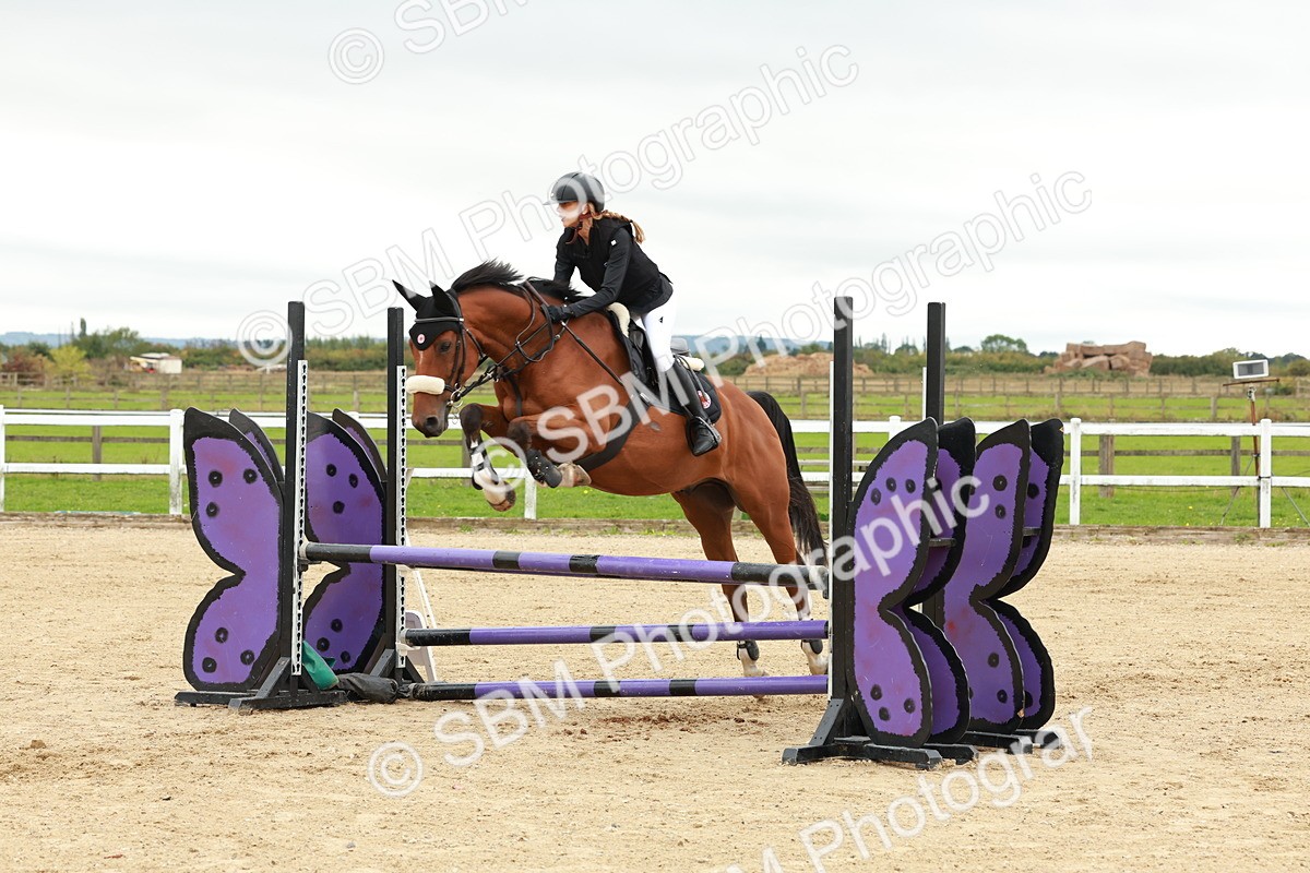 1I0A6864 - Class 2 - Senior British Novice