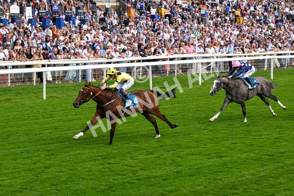 280625-Race 4-Hankelow-0523 - Race 4 3.40pm Al Basti Equiworld Dubai Novice Stakes