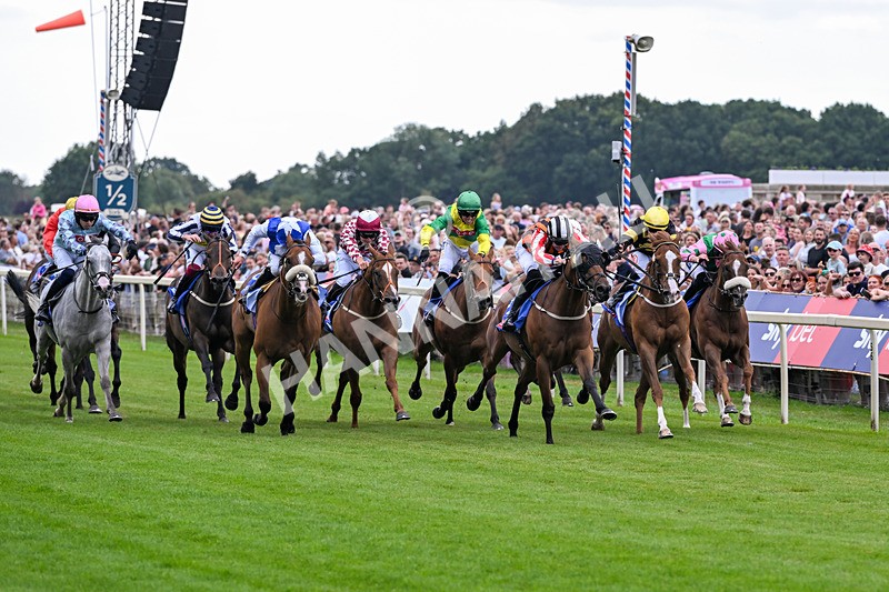 250726-Race 1-Kodiac Thriller-6708 - Race 1 13.30pm Sky Bet 'Jump Jockeys' Nunthorpe' Handicap